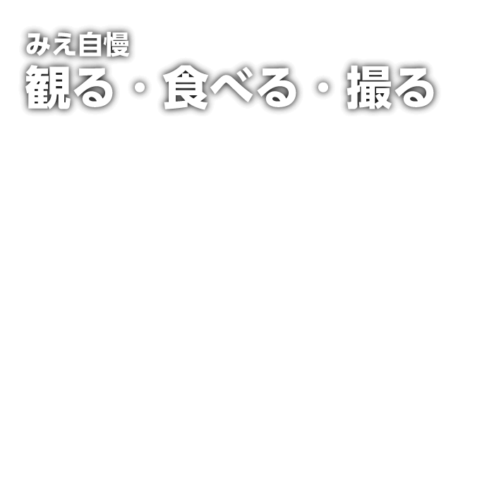 三重グルメ&スポット