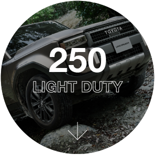250 LIGHT DUTY
