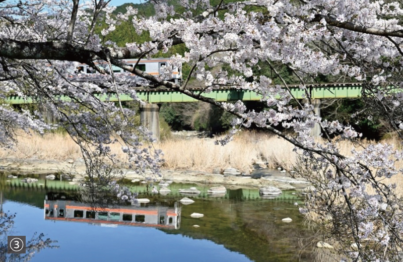 写真③