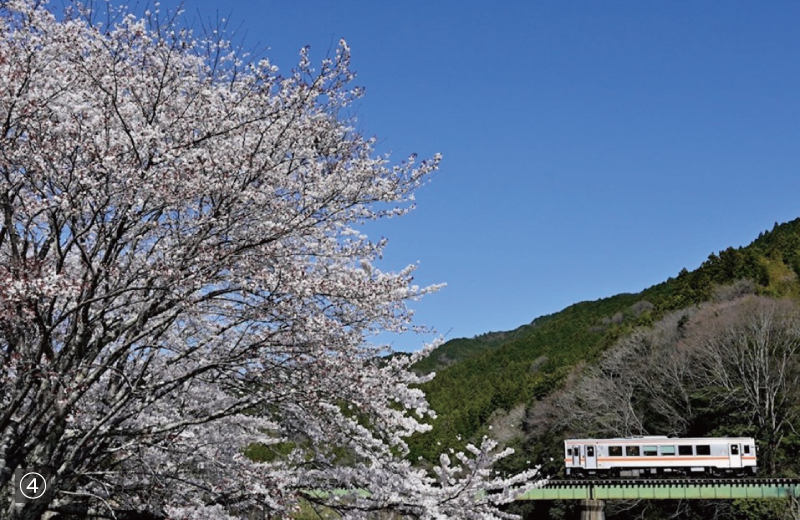 写真④